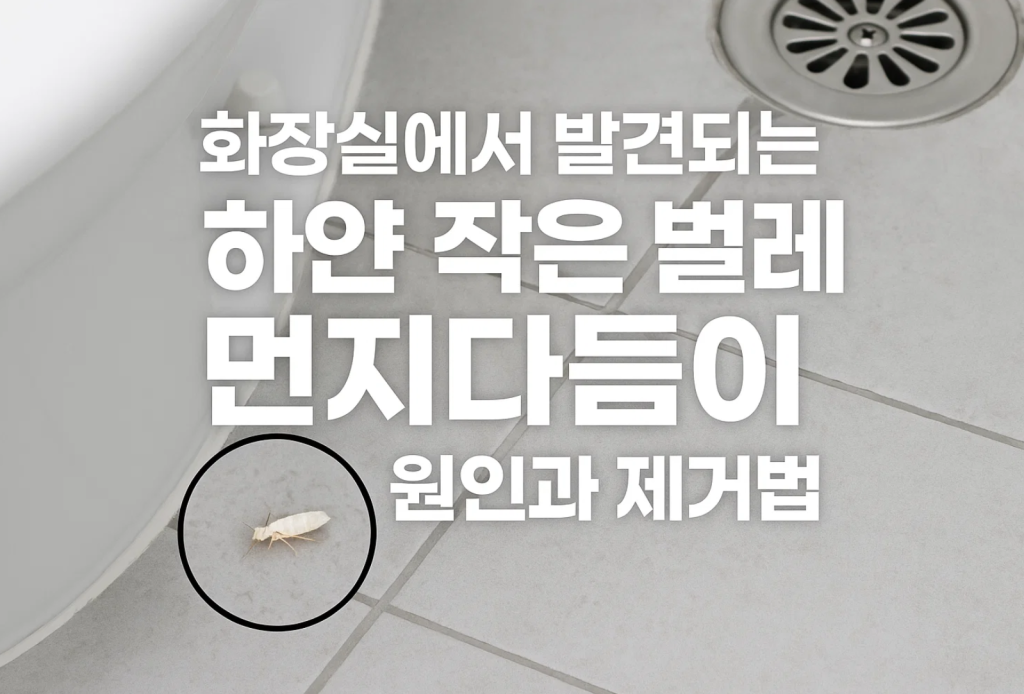 화장실에서 발견되는 하얀 작은 벌레 먼지다듬이 원인과 제거법 3 화장실에서 발견되는 하얀 작은 벌레 먼지다듬이 원인과 제거법